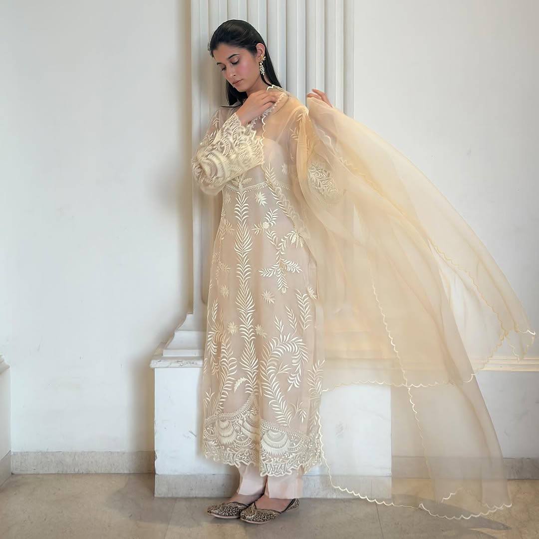 Premium Party Wear Suit Set Featuring Fancy Cut Work Sleeves, Soft Net Top and Silk Pant - Jaipuri Vastra