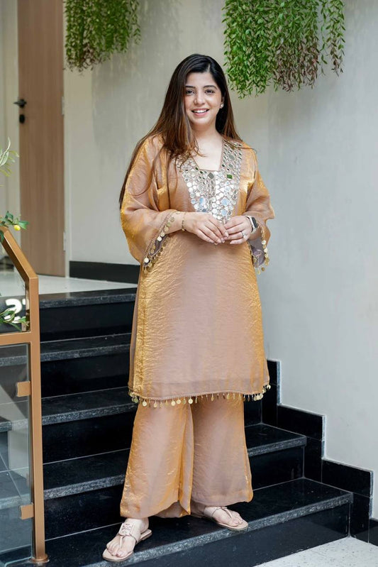 Elegant Fendy Plazzo Set Featuring Mirror Embroidery and Coin Lace Border